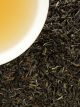 Flugtee 2024 - Darjeeling First Flush 